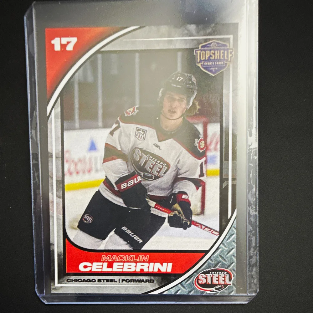 2022-23 Chicago Steel Team Set